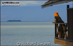 View of Sipadan island and my wife's orange hat from our ... by Richard Swann 